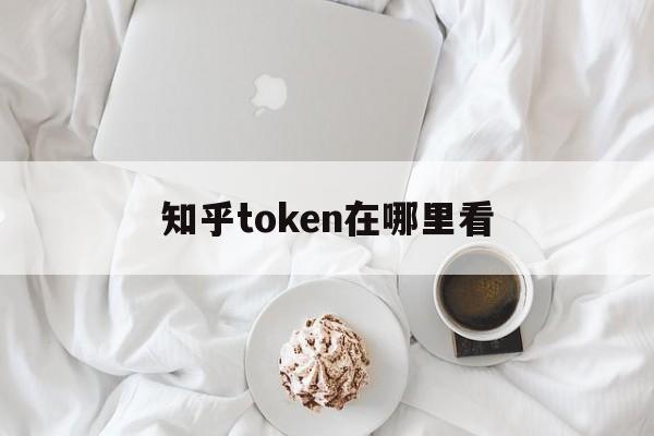 包含知乎token在哪里看的词条