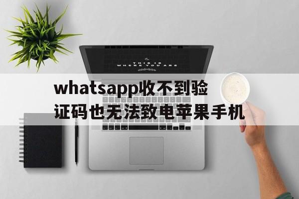 whatsapp收不到验证码也无法致电苹果手机_whatsapp收不到验证码也无法致电苹果手机怎么解决