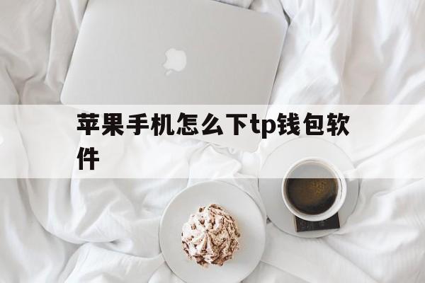 苹果手机怎么下tp钱包软件_苹果商店下载的tp钱包是真的么