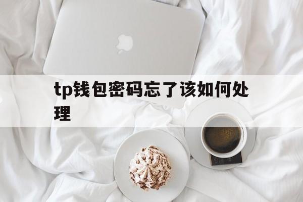 tp钱包密码忘了该如何处理_tp钱包密码和助记词都忘了怎么办